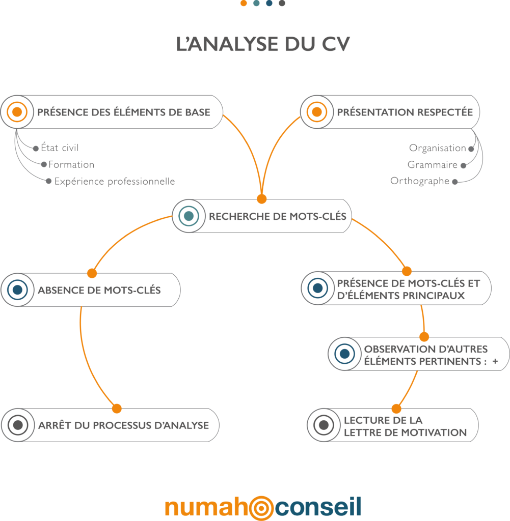 numahconseilinfographiecv